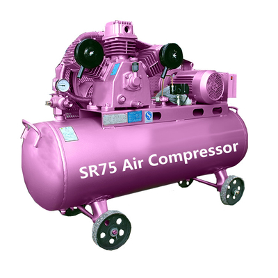 Verwisselcompressoren Kleine elektrische luchtcompressoren Machines Kolvenluchtcompressoren