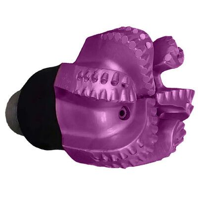 Op maat gemaakte PDC Diamond Bit Olieveld boorgereedschap slijtvast PDC boorstuk